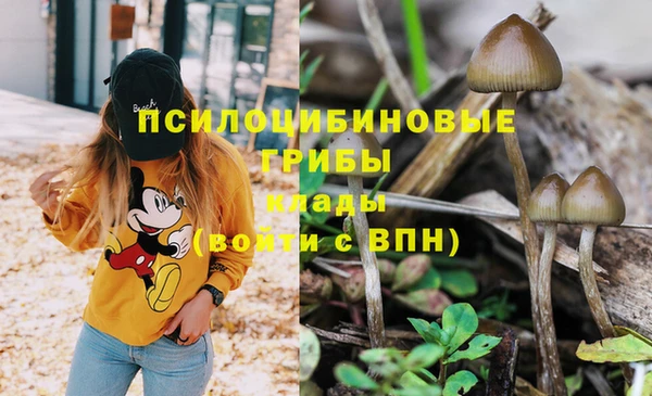 мдма Верхний Тагил