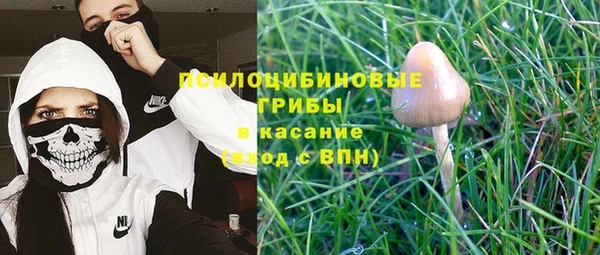 дмт Верея