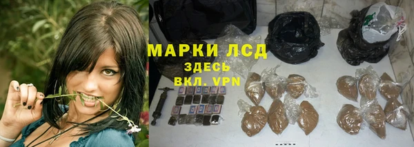 дмт Верея