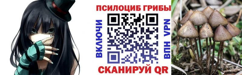 Купить где  Копейск  Псилоцибиновые грибы мицелий 